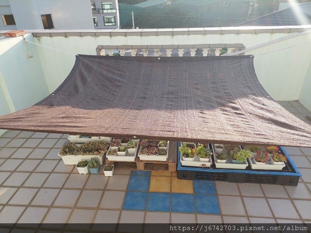 &lt;jessica就是愛分享&gt;田尾.植物們的產地市集