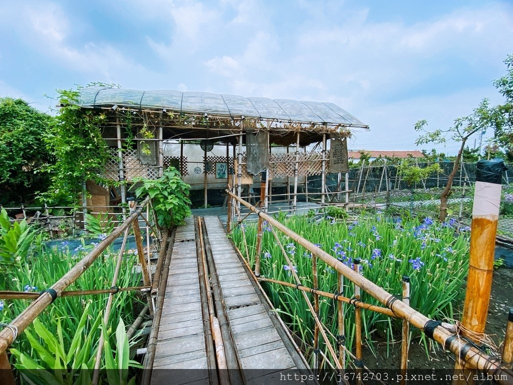 &lt;就是愛拍拍&gt; 堅持種下去的鳶尾花! 田尾旅人小屋 舒宿鳶尾