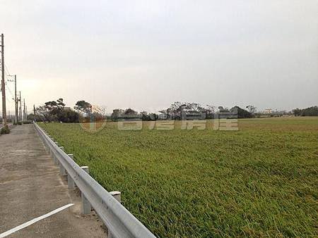 J8012005620120131115171845.jpg