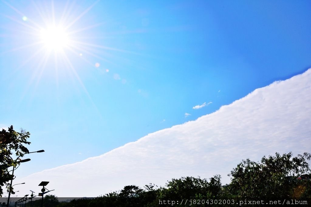 DSC_0924.JPG
