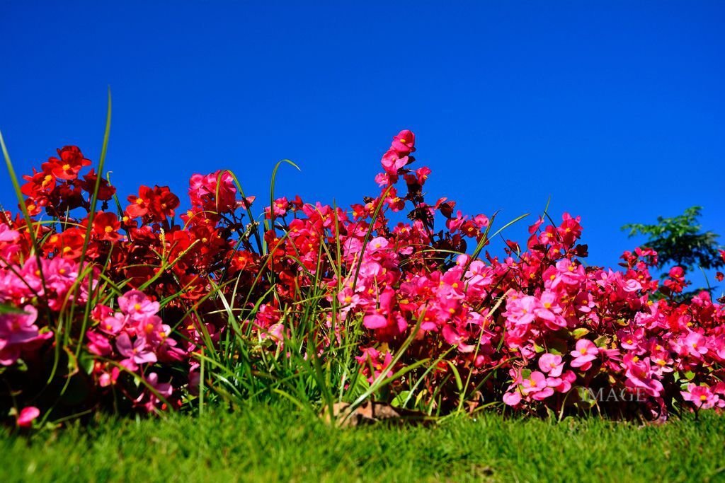 DSC_0977.JPG