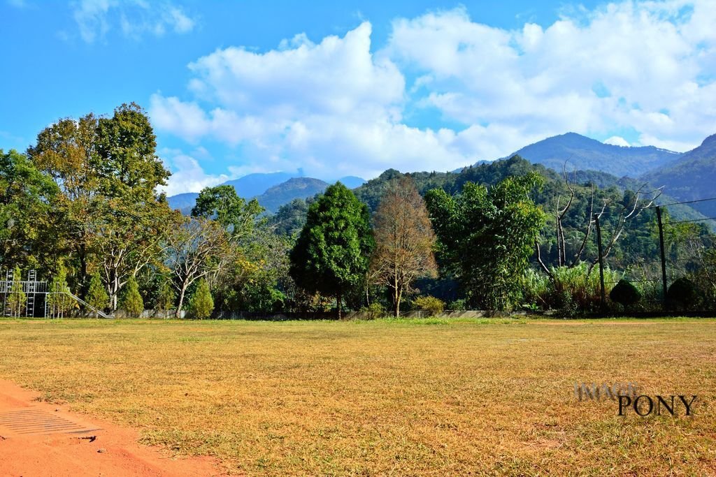 DSC_0602.JPG