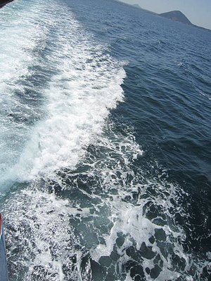 IMG_6363