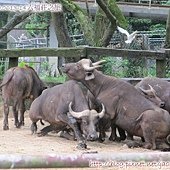 IMG_3499.jpg