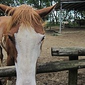 IMG_3516.jpg