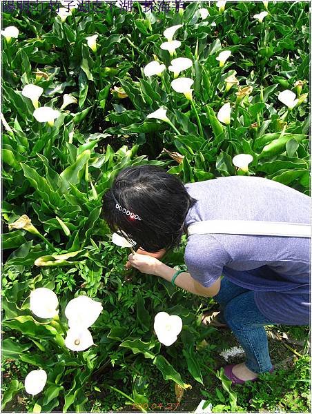 花博IMG_3250.JPG