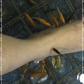 IMG_2429.JPG
