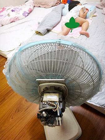 電風扇爺爺