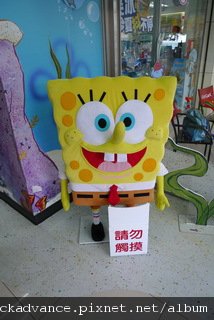 P1070419_resize.JPG