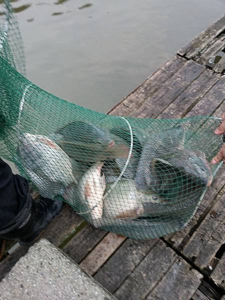 20130902_173357.jpg