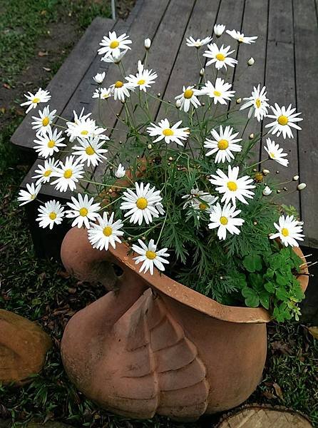 2014-03-22-15-27-14_deco.jpg