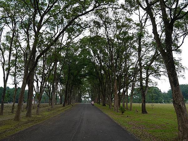 P1280988.jpg