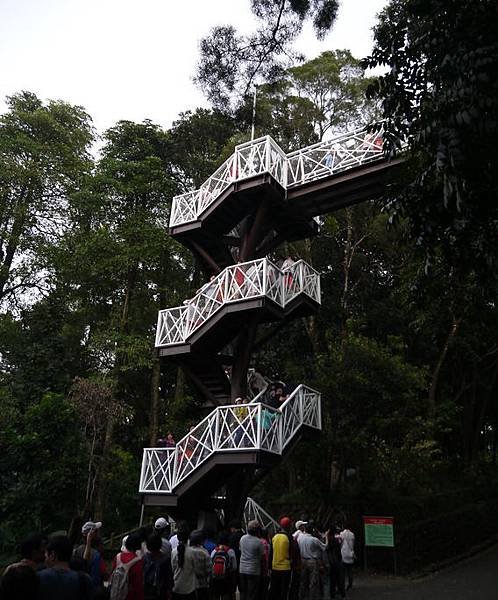 P1290564.jpg