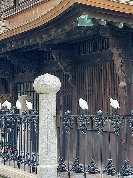 2023.11 日本四國之旅(I)：高知仁淀川、雲之上圖書館