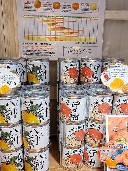 2023.11 日本四國之旅(I)：高知仁淀川、雲之上圖書館