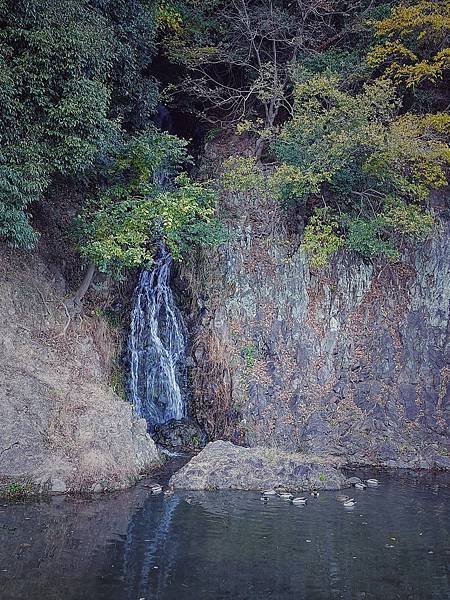 2023.11 日本四國之旅(II)：金刀比羅宮、栗林公園、