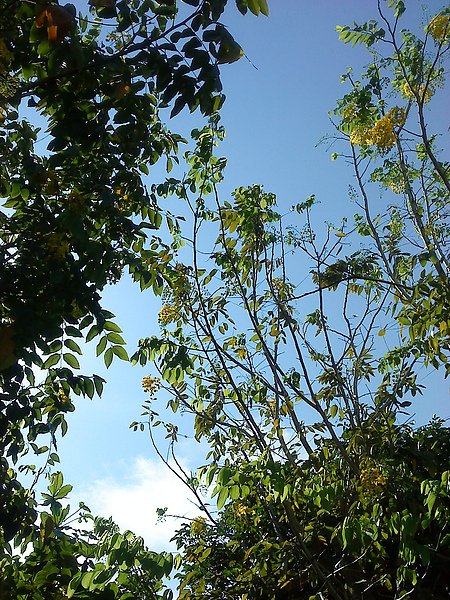 DSC00506.JPG
