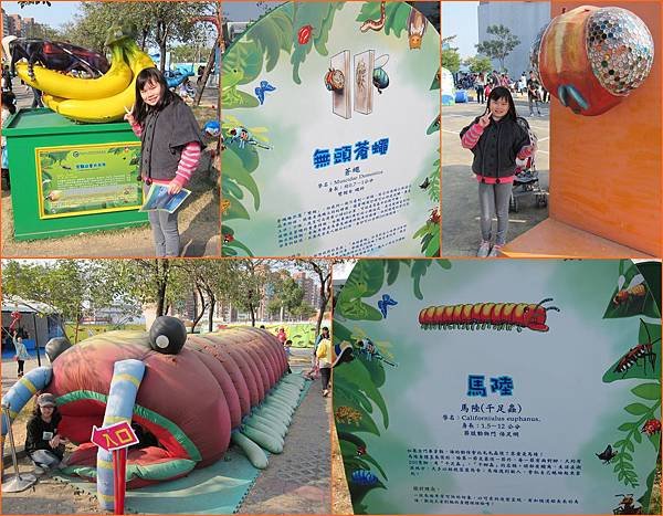 08展覽的昆蟲.jpg