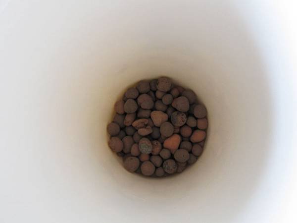 10杯底放一些發泡煉石.JPG