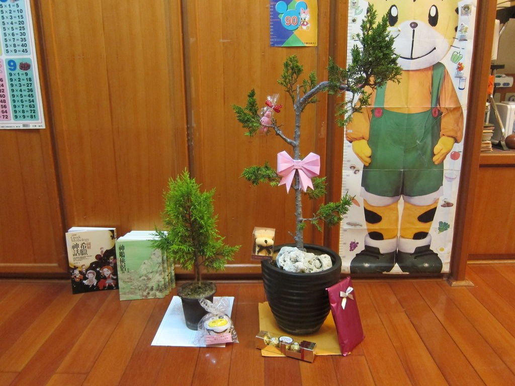02聖誕樹-裝飾前.JPG