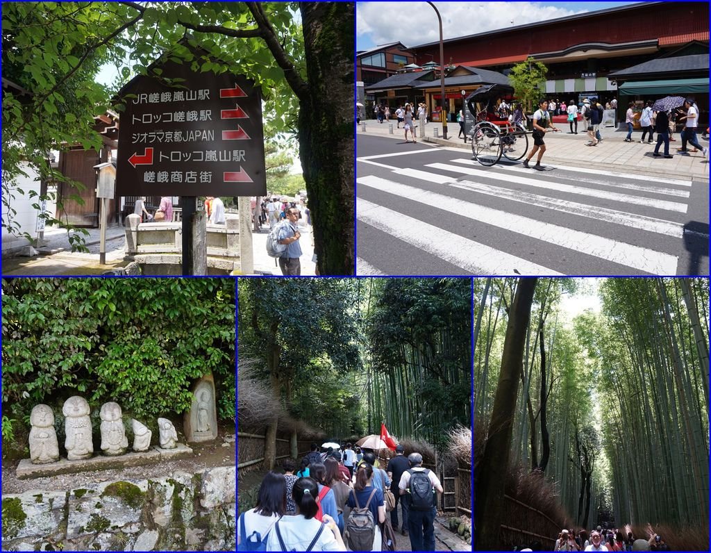 17徒步經過嵐山駅(車站)及通過一大片竹林.jpg