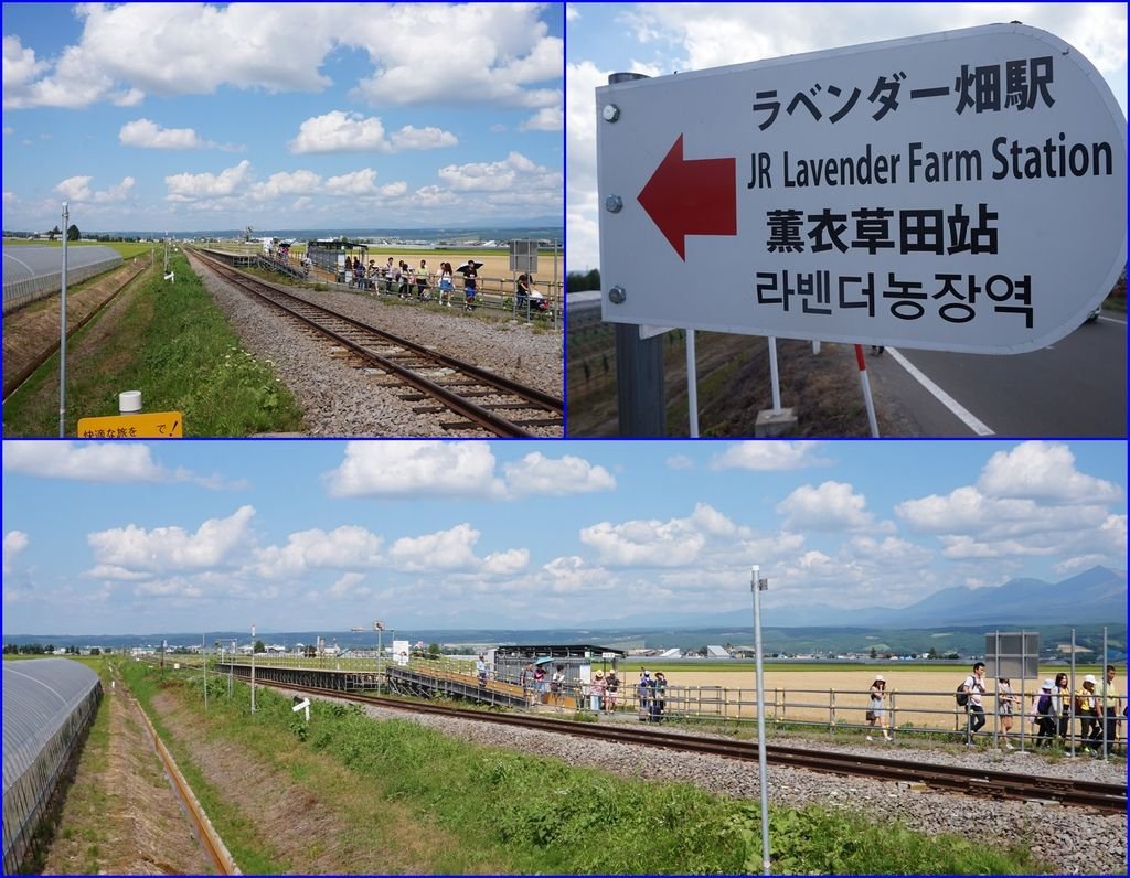 19扺達~薰衣草田車站~夏天的臨時車站.JPG