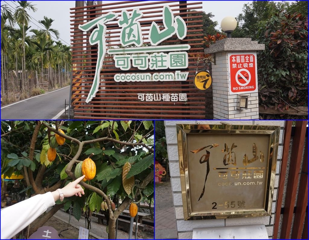 02可茵山可可莊園(20190127拍攝).jpg