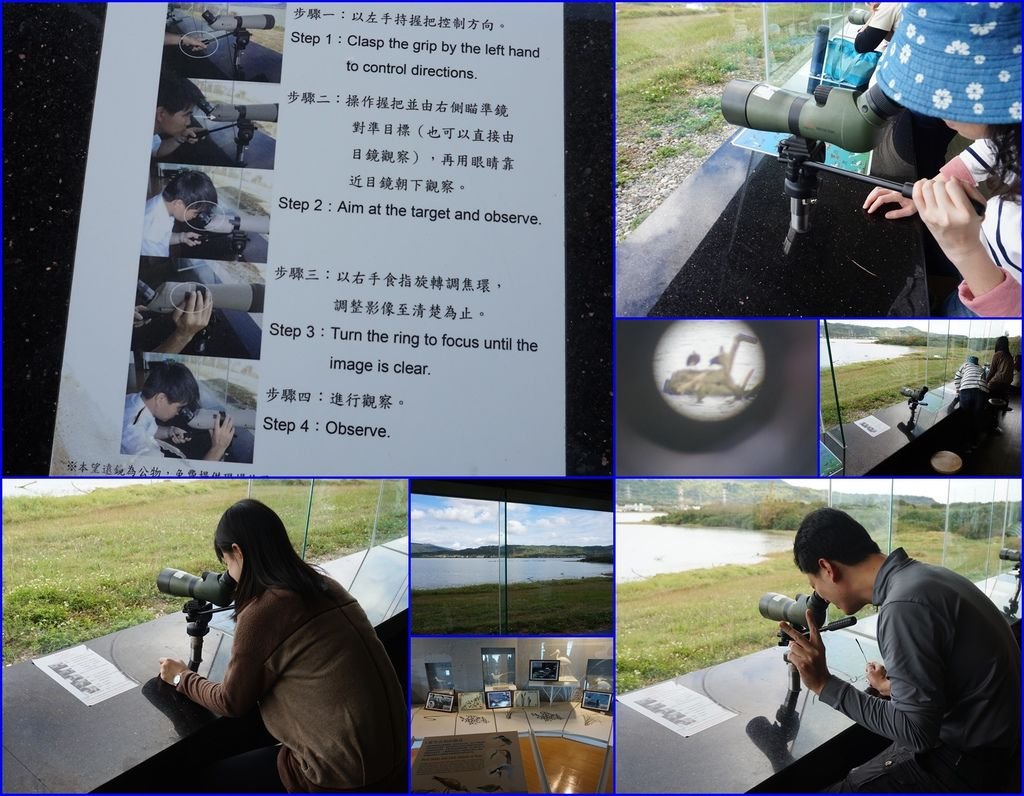 14龍鑾潭自然中心~觀賞水鳥.jpg