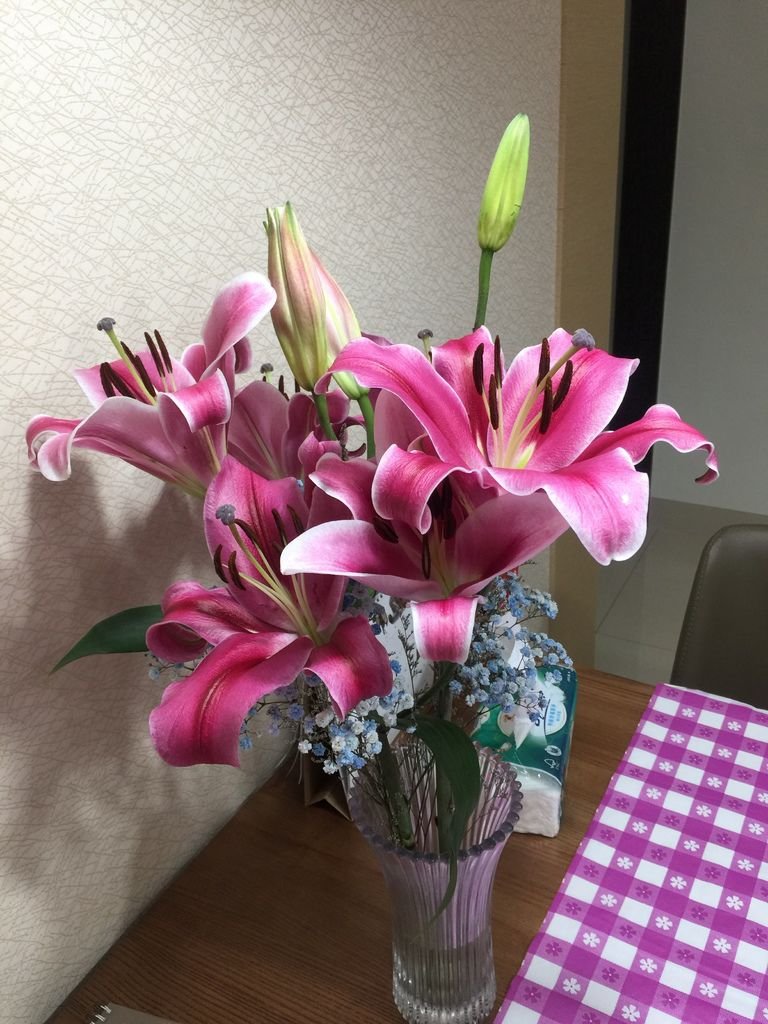 05百合花~第一朶開了之後~隔天又開了好多朶(20190306拍攝).JPG