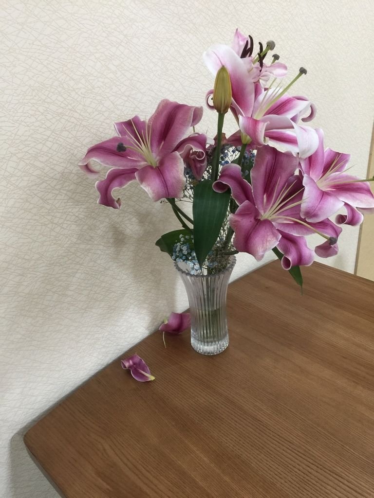 12發現百合花掉花片(20190311拍攝).JPG