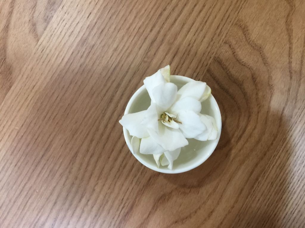 03槴子花~放在裝水的小杯子.JPG