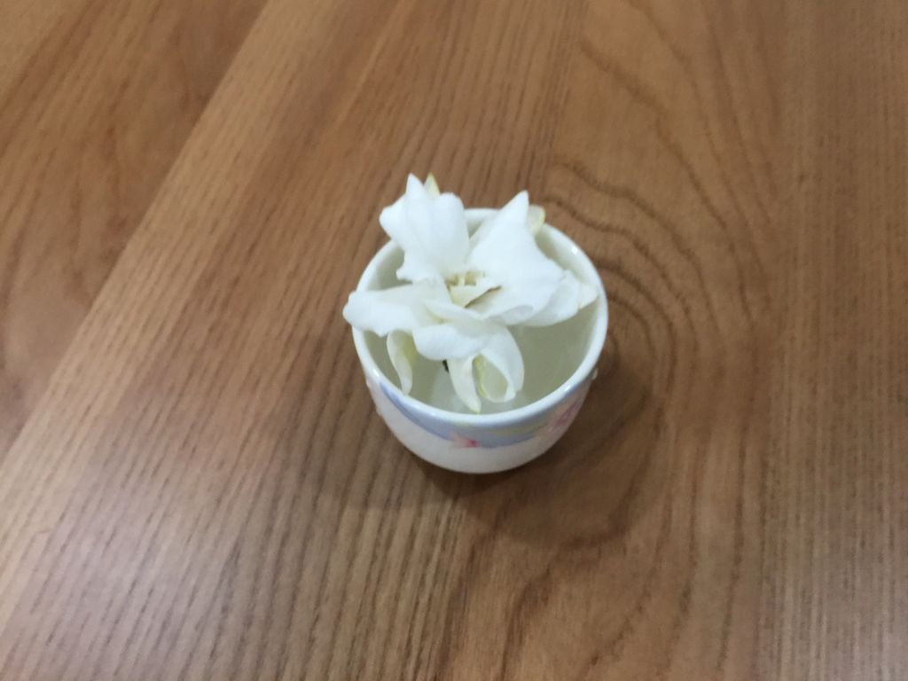 04小小一盆~擺在桌上~欣賞及聞花香.JPG