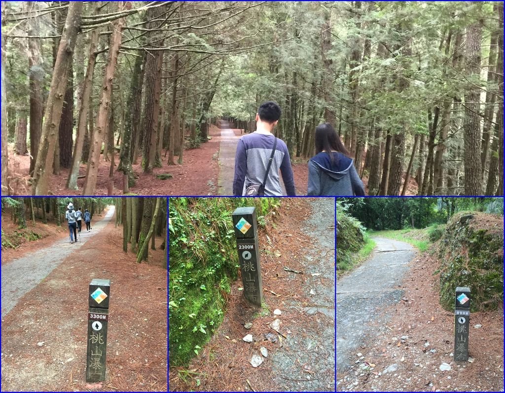 03桃山瀑布~慢慢爬山享受森林浴~.jpg