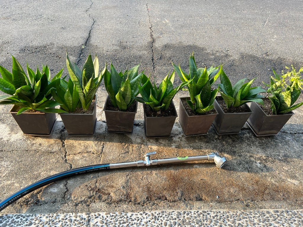 13種植完成~澆水.JPG