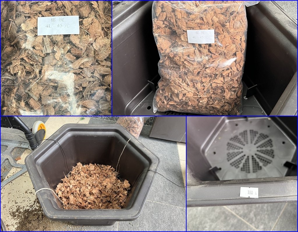 19錯誤方式~排水不良)聽信盆栽老板教的~使用椰塊當底土~沙土不流失.jpg