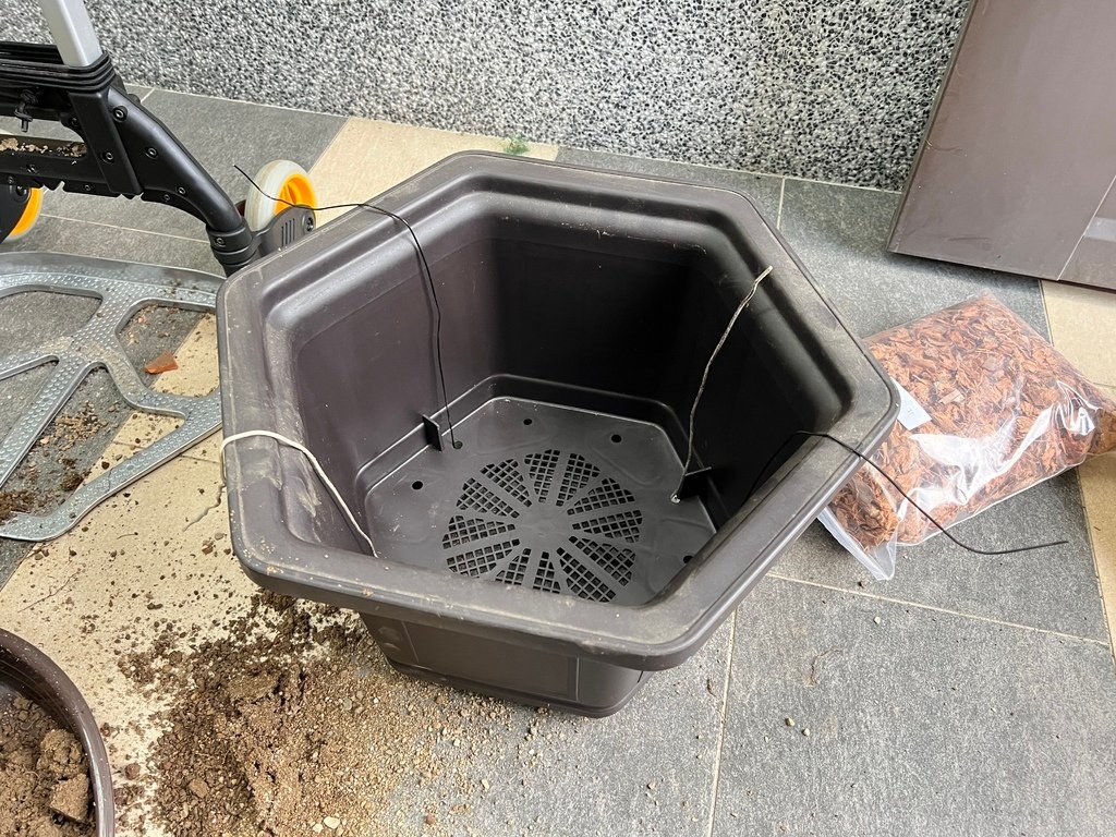 16買了一個大型的六角塑膠盆器.JPG