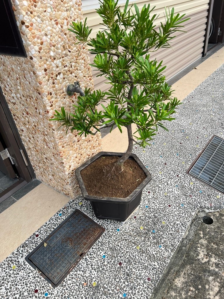 22搬回門口~擺好位置.JPG