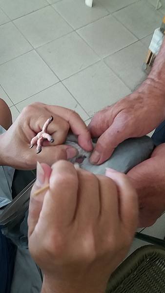 20170708_110617.jpg