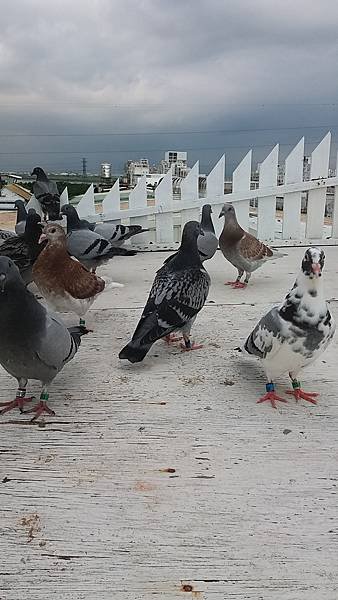 20170628_164535.jpg