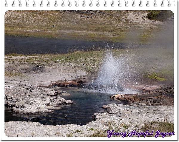 21. Lower Geyser Basin - Young Hopeful Geyser.jpg