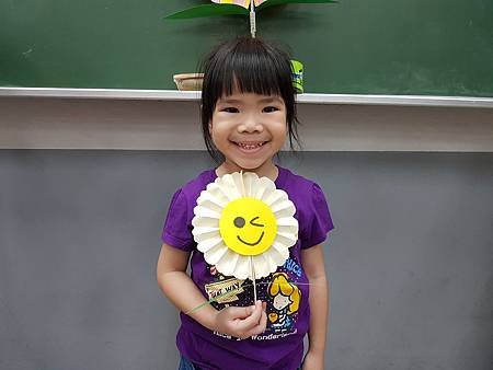 1070508太陽花7