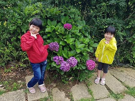 1070616苗榜14