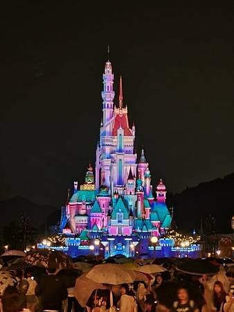 11304迪士尼樂園71.jpg