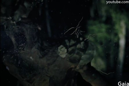 Gaia-2.jpg