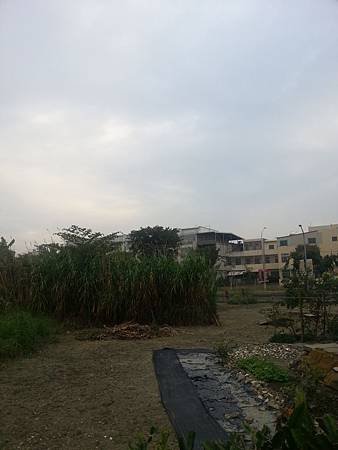 20131122_162943.jpg