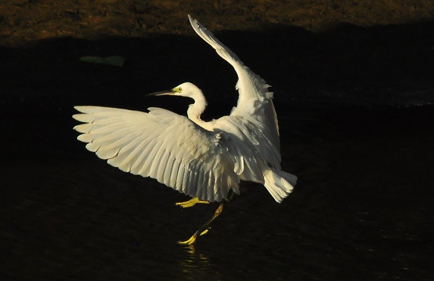 DSC_0507.JPG