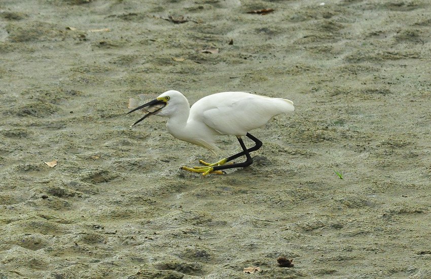 DSC_0567.JPG