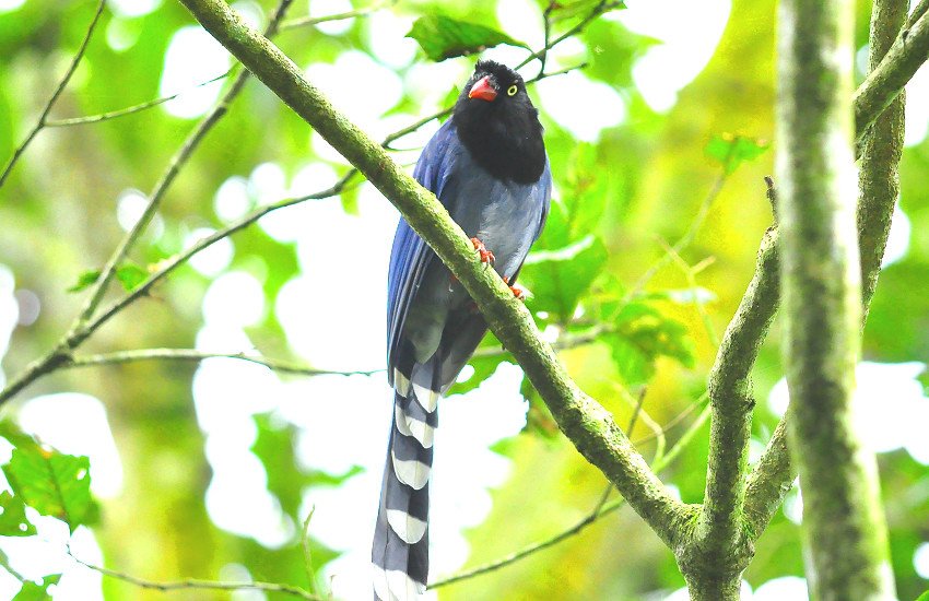 DSC_0505.JPG