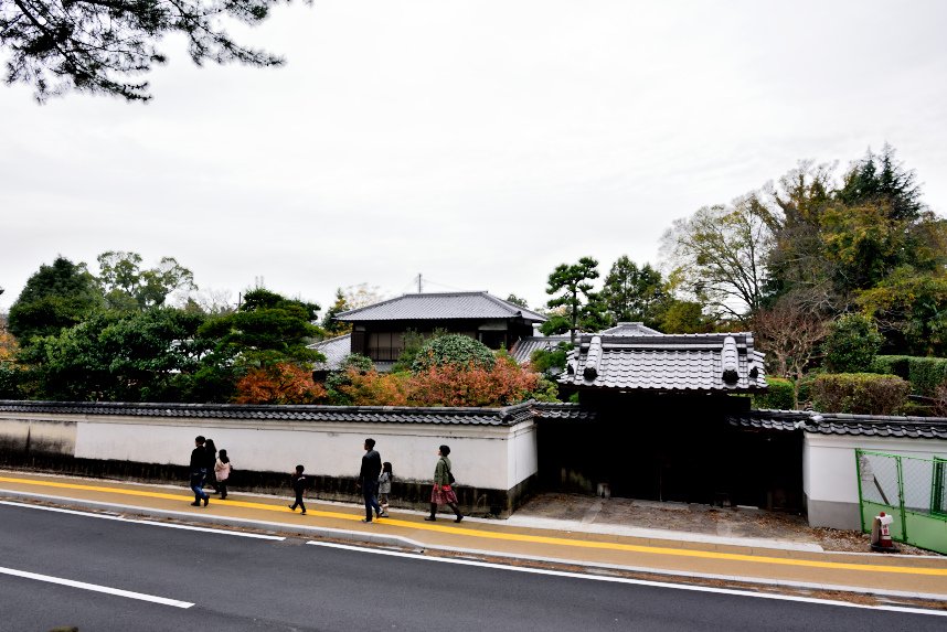 奈良 (5).JPG