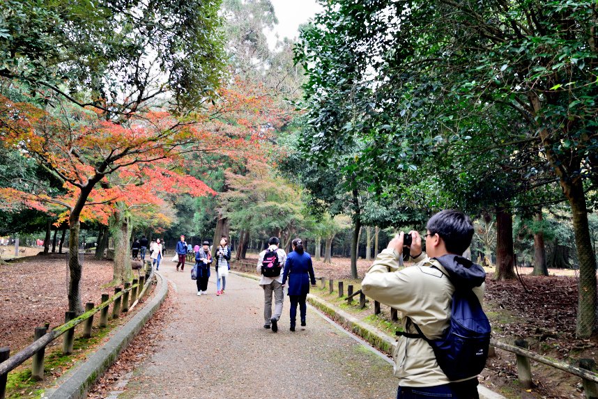 奈良 (9).JPG